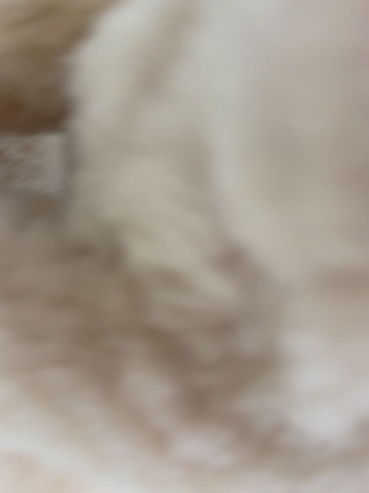 シダックス♡ベアカット