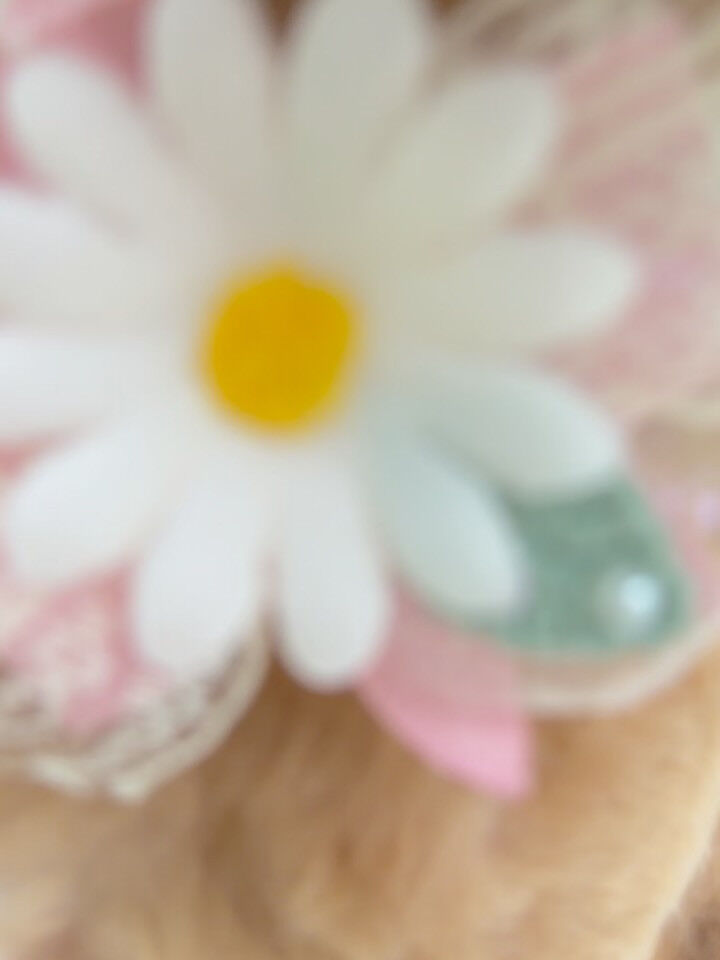 マルプー♡サマーカット