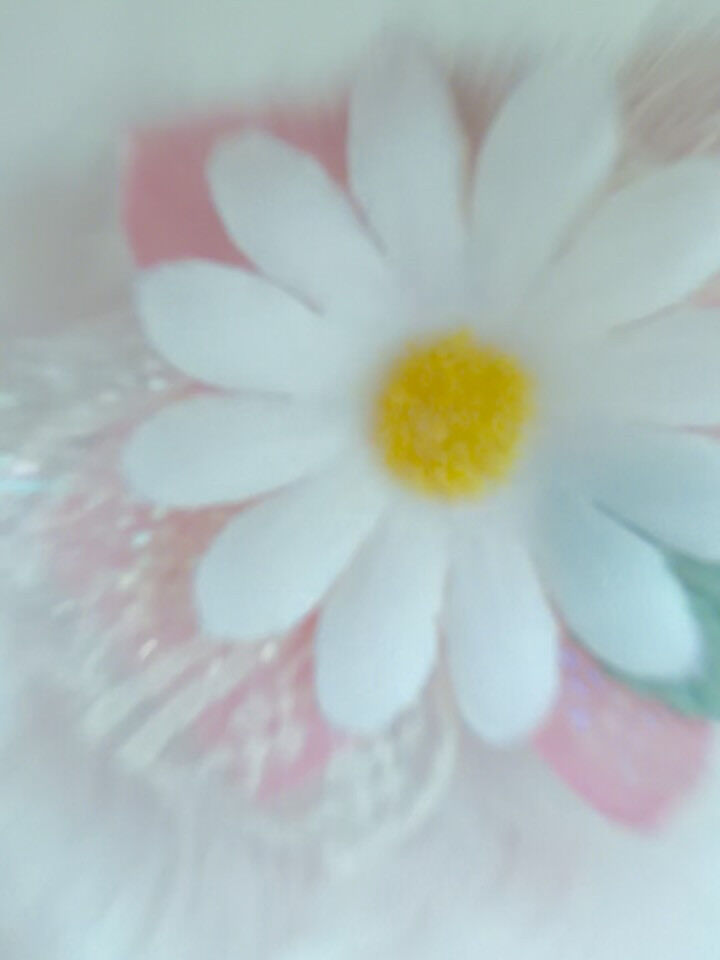 ドゥードゥル♡