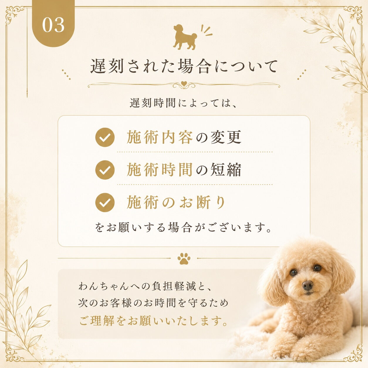 いつもご利用いただきありがとうございます🐾🤍