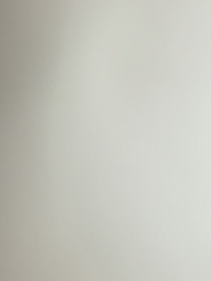 チワワ♡サマーカット