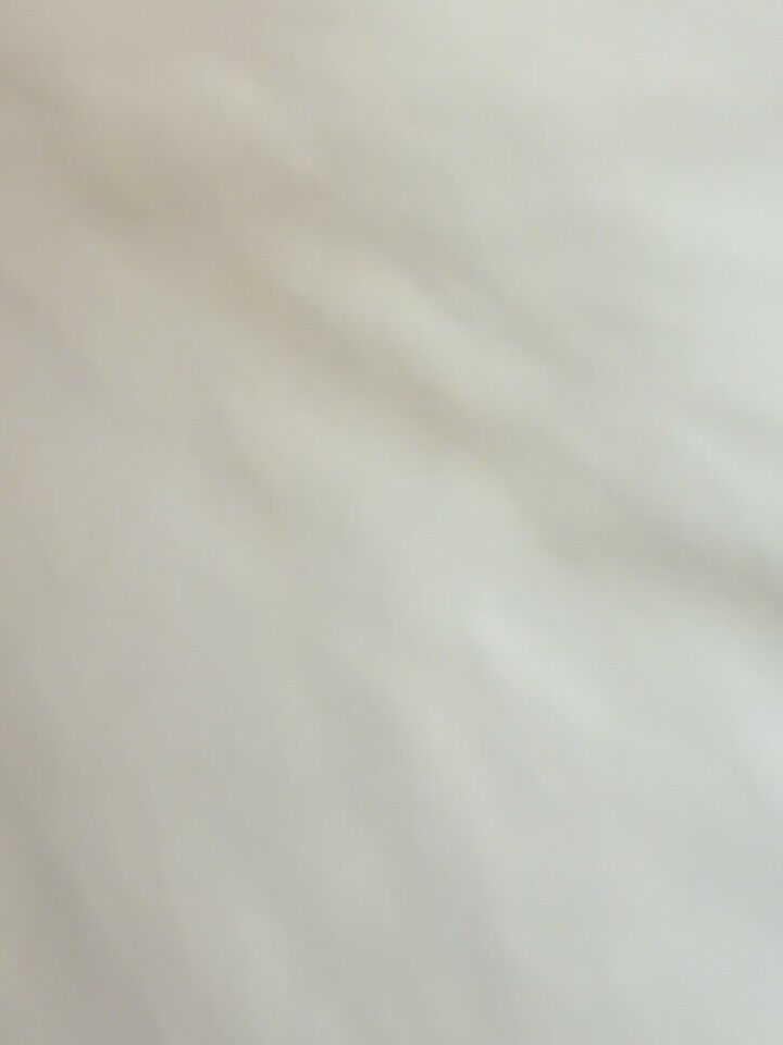 ポメラニアン♡