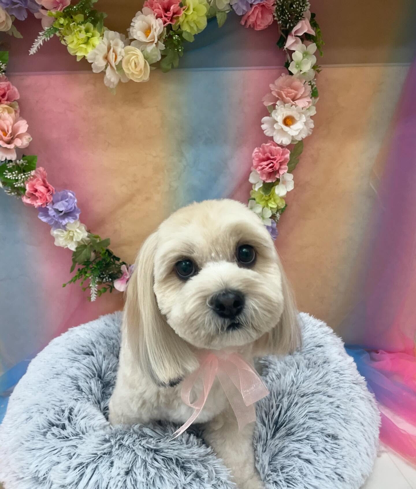 ミックスのまんまちやまん♡