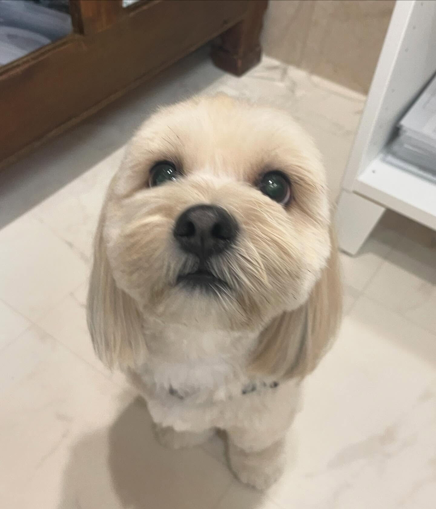 ミックスのまんまちやまん♡