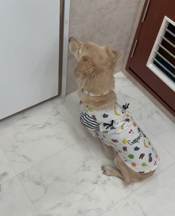 ミックスの音ちゃん♡