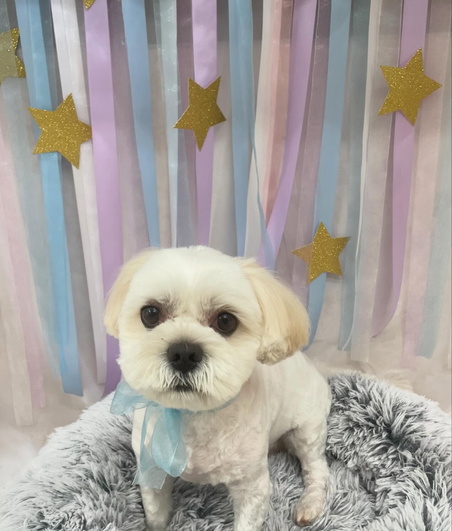 ペキキャバ･サマーカット♡