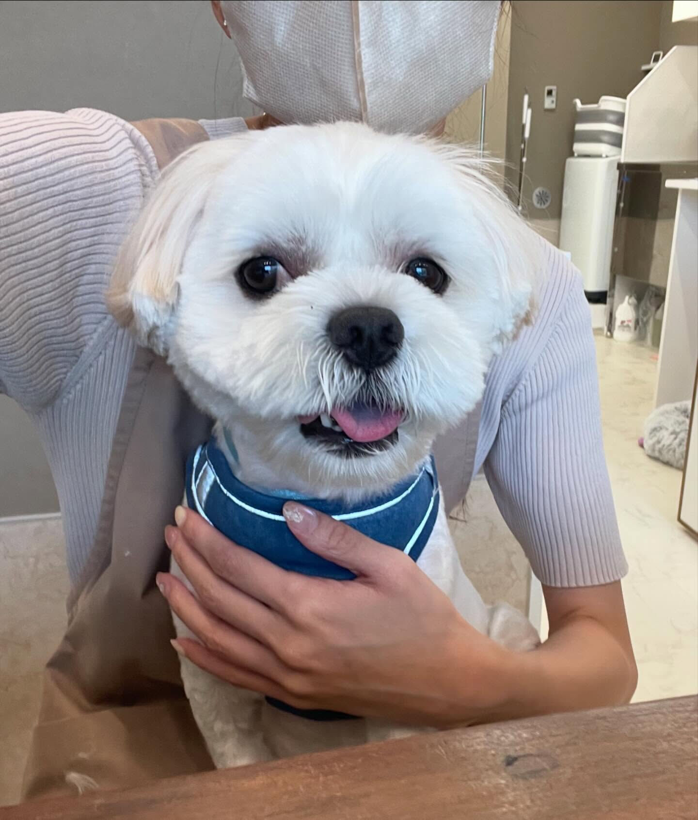 ペキキャバ･サマーカット♡