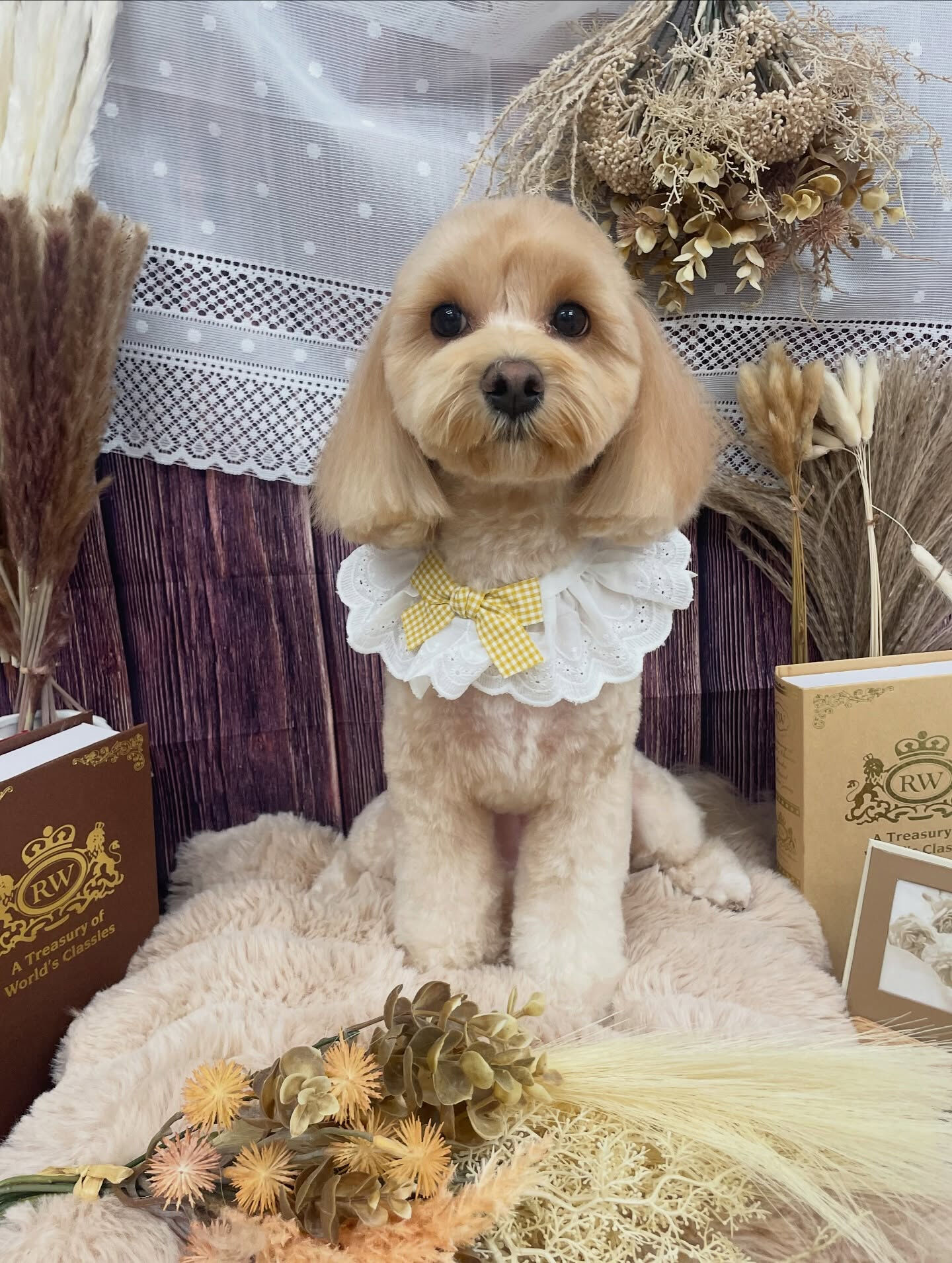 マルプー♡