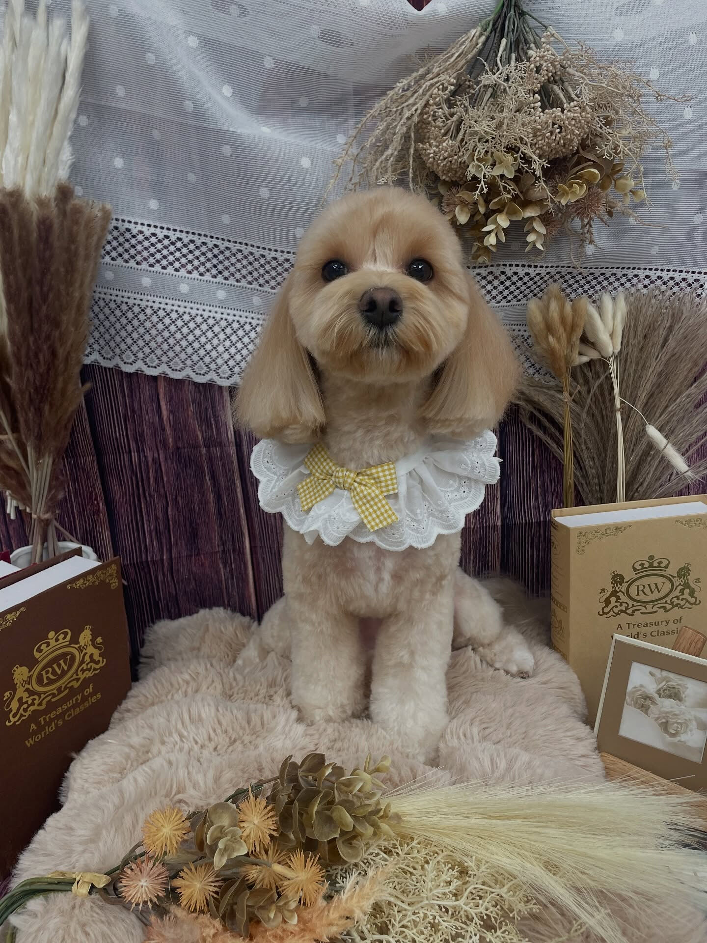 マルプー♡