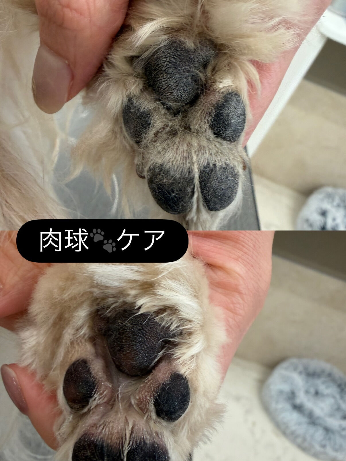 マルプー♡うるつやケア