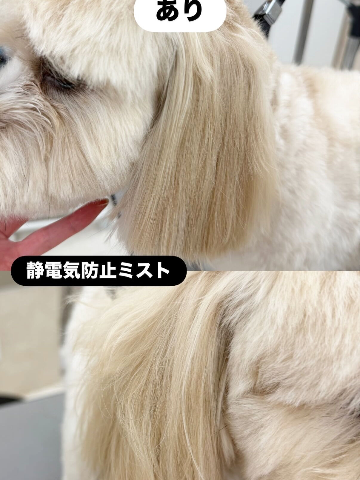 シダックス♡静電気防止ミスト