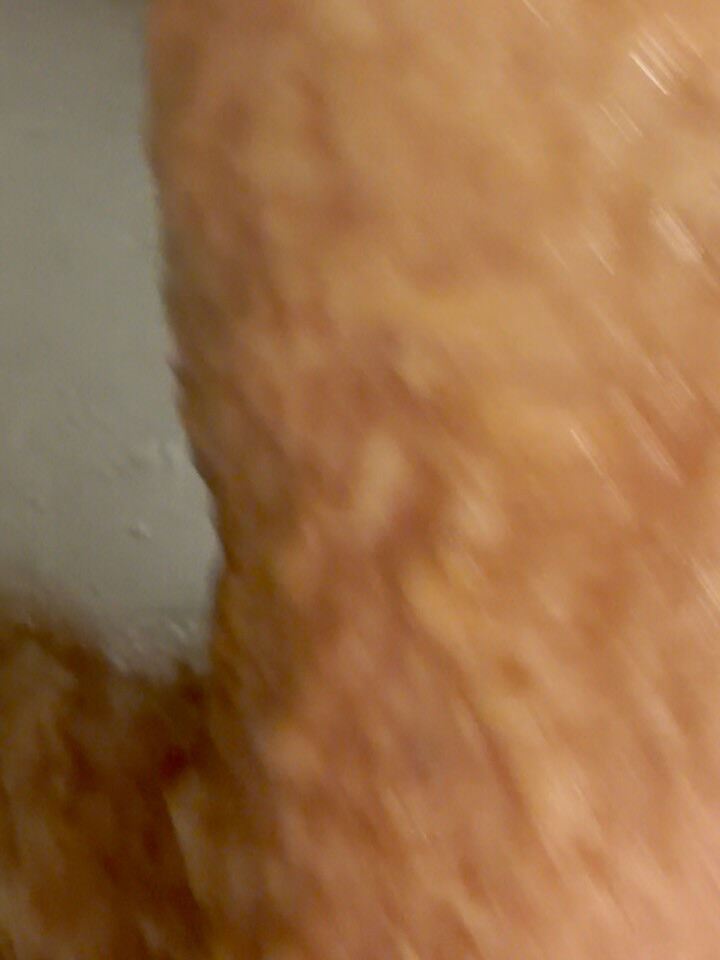 トイプードル♡炭酸泉