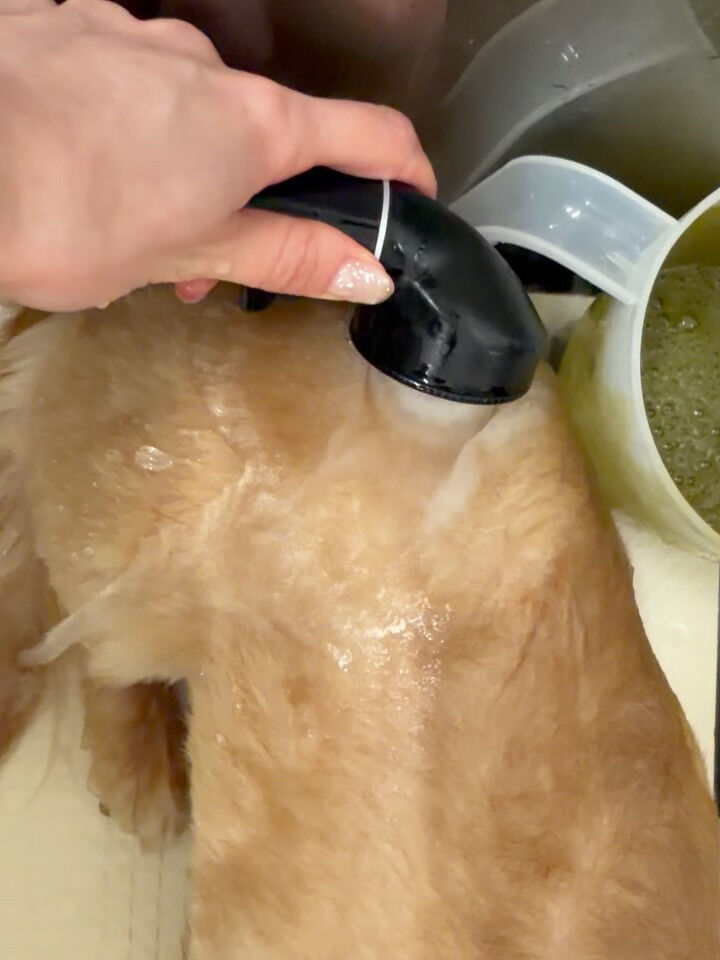 ダックス♡ハーブパック