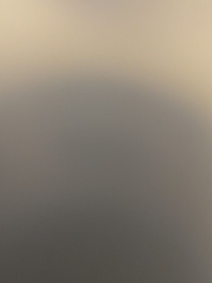 シュナウザー♡炭酸泉