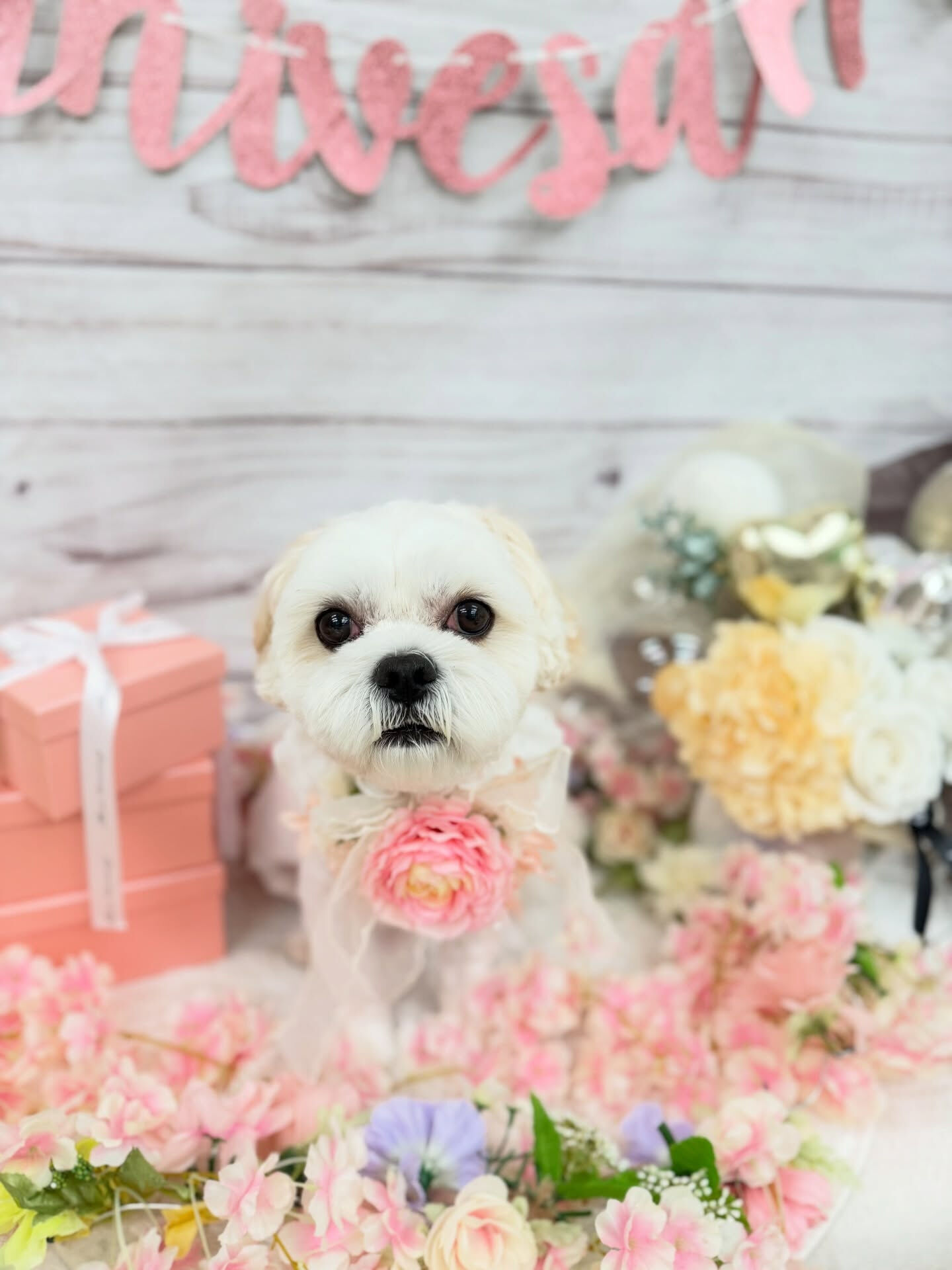 ペキキャバ♡